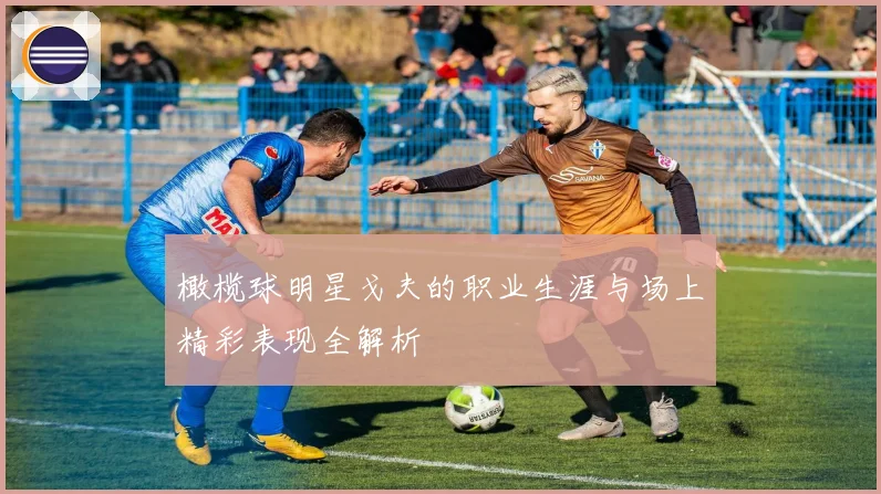 橄榄球明星戈夫的职业生涯与场上精彩表现全解析