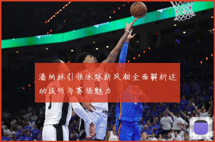 潘纳林引领冰球新风潮全面解析运动技巧与赛场魅力